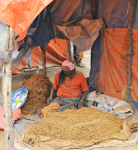 A woman selling spices at a market stall in Harar Jugol